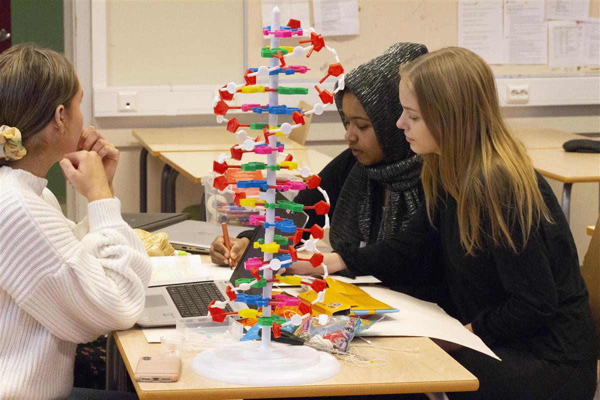 Elever på Påbygging til generell studiekomptanse - Klikk for stort bilde